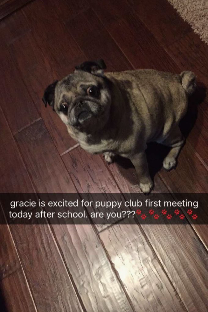 LHSPuppyClub's tweet photo. https://t.co/NTh6cV8heH