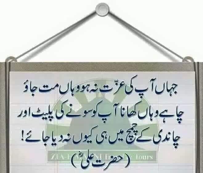MuhammadSA786 tweet picture