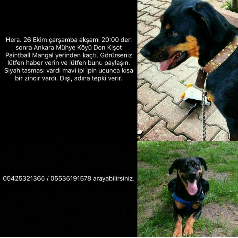 Lütfen rt <a href="/melisayca/">MAD</a>