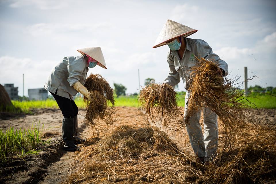 Echoing Green tweet media