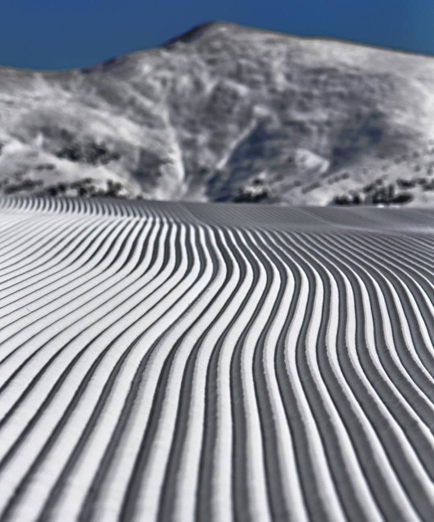 Who's ready for some of this!?
📷: <a href="/trippfayphoto/">Tripp Fay Photo</a>