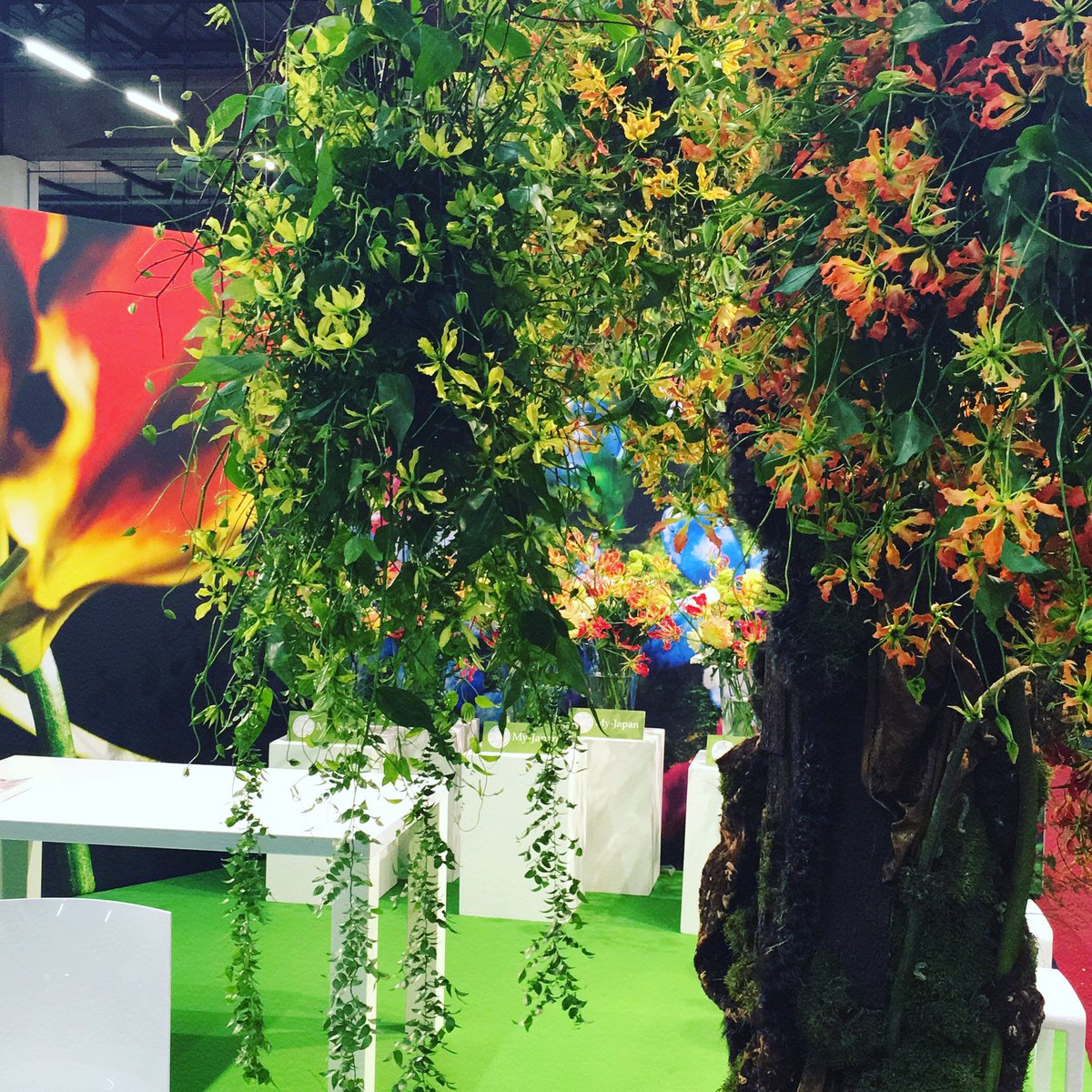 lobke1991N's tweet photo. Morgen een laatste dag op de trade fair! Wat een geweldige dagen waren het ! #cultra #royalfloraholland #tradefair2016 https://t.co/JgCKetpnb0