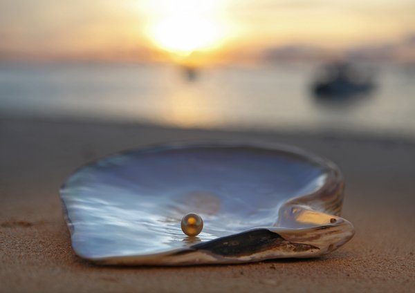 Read about <a href="/Jewelmer/">Jewelmer</a>’s sustainable pearl farming &amp; why being green matters. Join us <a href="/StevenKretchmer/">Steven Kretchmer</a> 2nte for more! greenlivingaz.com/jewelmer-eco-p…
