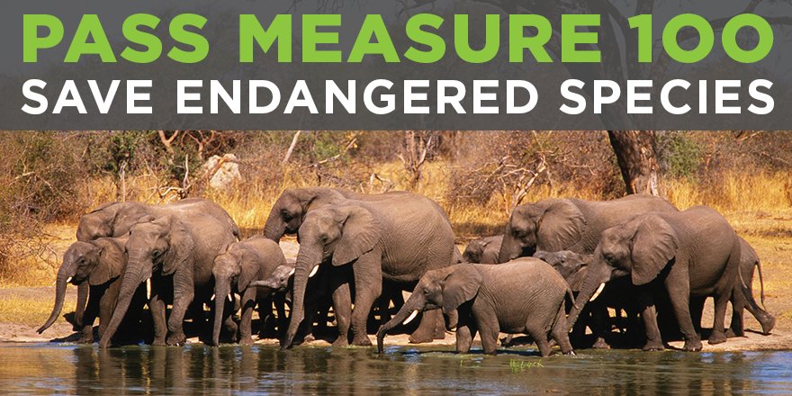 Save Animals Facing Extinction tweet media