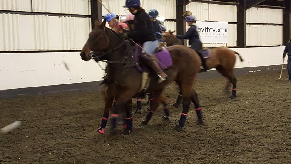 Conroy Polo tweet media