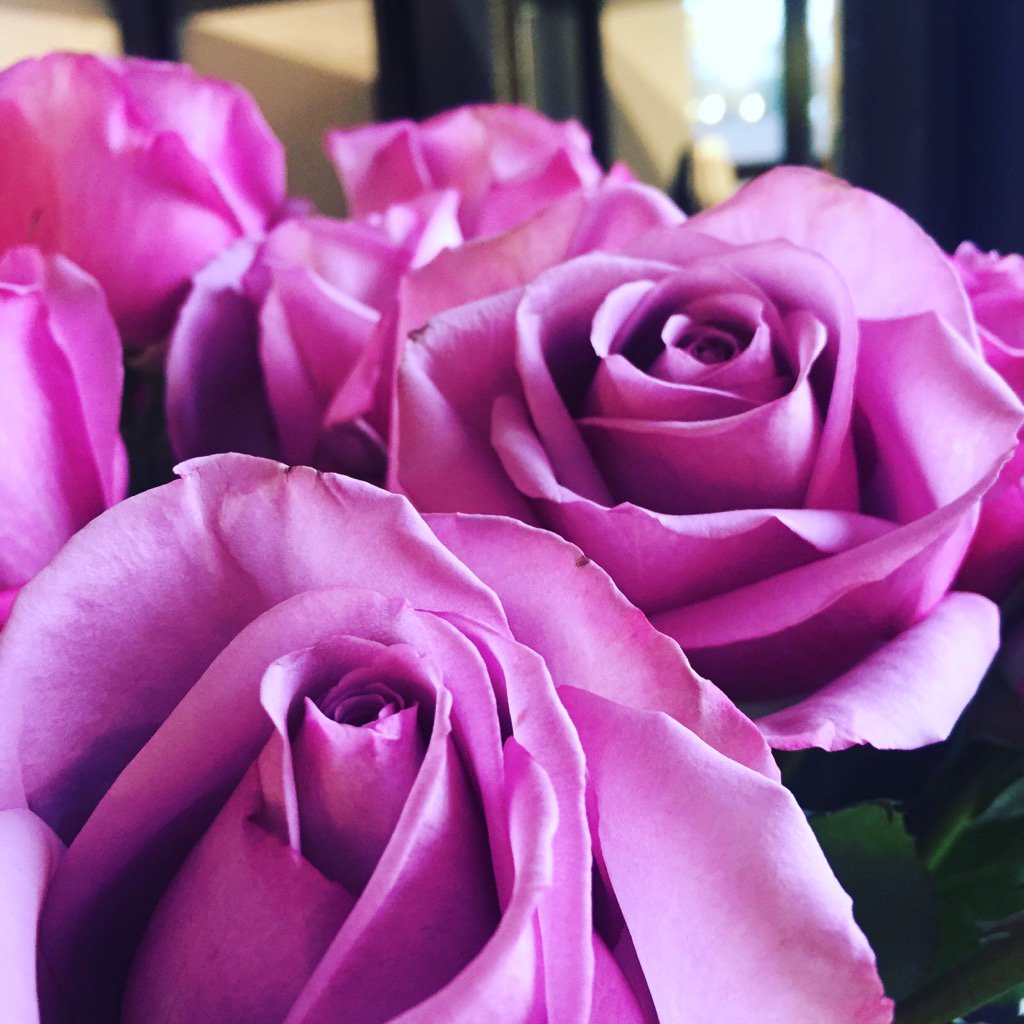 Cascade_Optical's tweet image. Someone's got a not-so-secret admirer here...