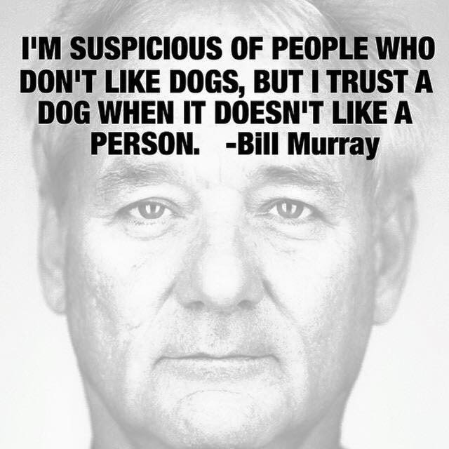 SillinInc's tweet photo. When Bill is right - he's sooooo right. #laughter #deepthoughts #imwithbill #billmurray https://t.co/Wtkp3Du8AQ
