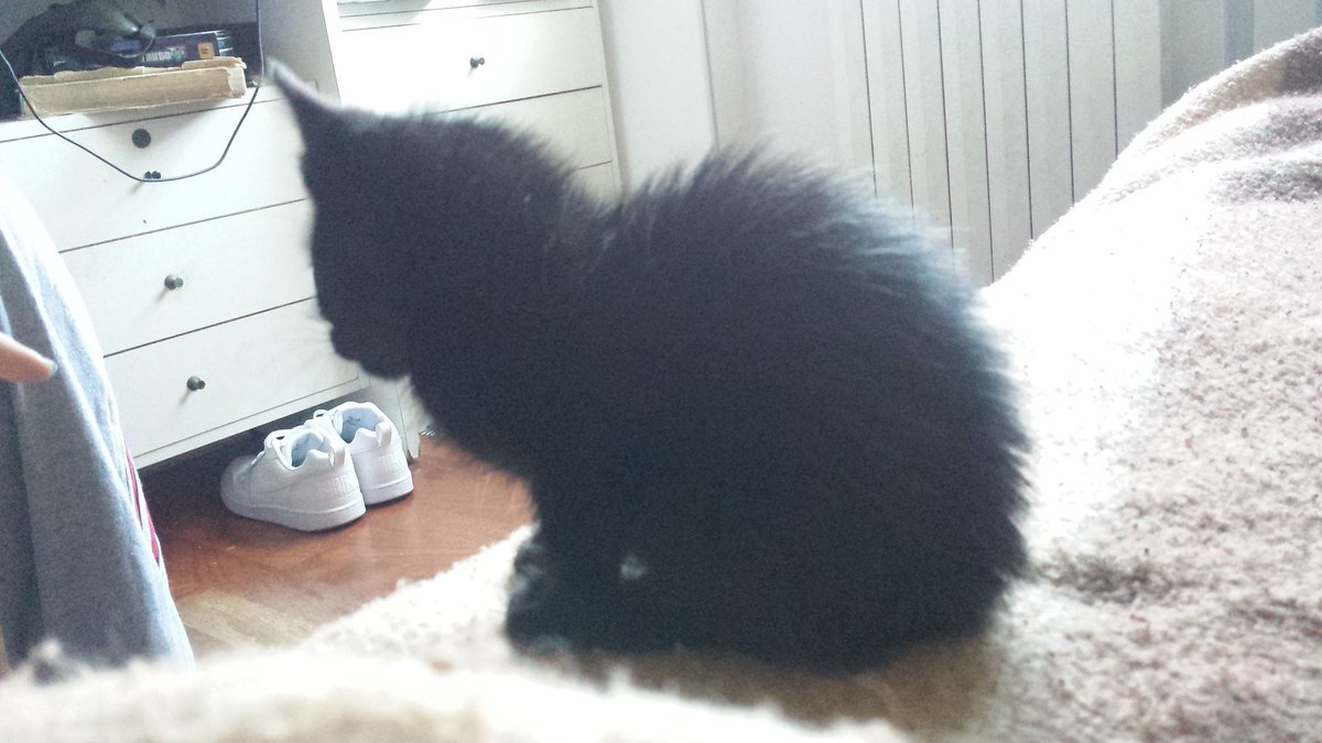 TheDriverAlex's tweet image. 