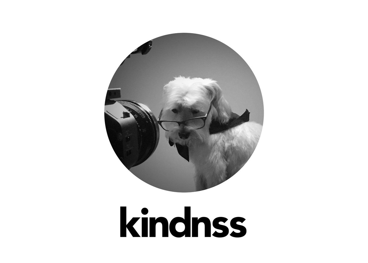 When the biz partners say yes to your #dog starring in the teaser, they're alright. Meet <a href="/_kindnss_/">Kindnss</a>  a #pnw #production studio. Let's chat!
