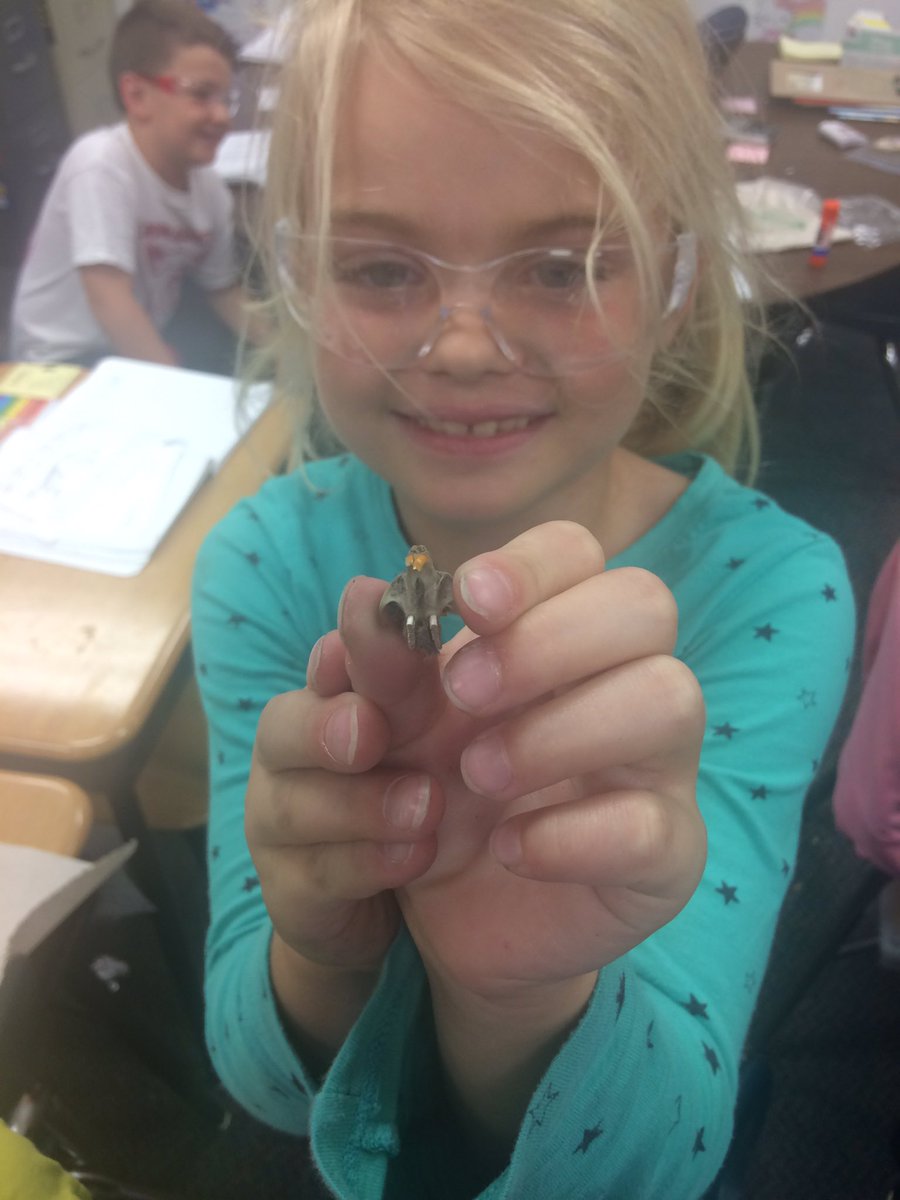 Grade3Kieffer's tweet photo. Dissecting Owl Pellets! #learningisfun @DCSVikings https://t.co/h2Y8b6Wv5V