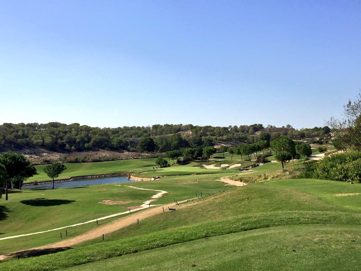 James Allan tweet media