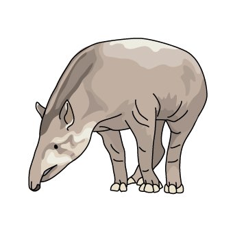 アメリカバクのtwitterイラスト検索結果 古い順