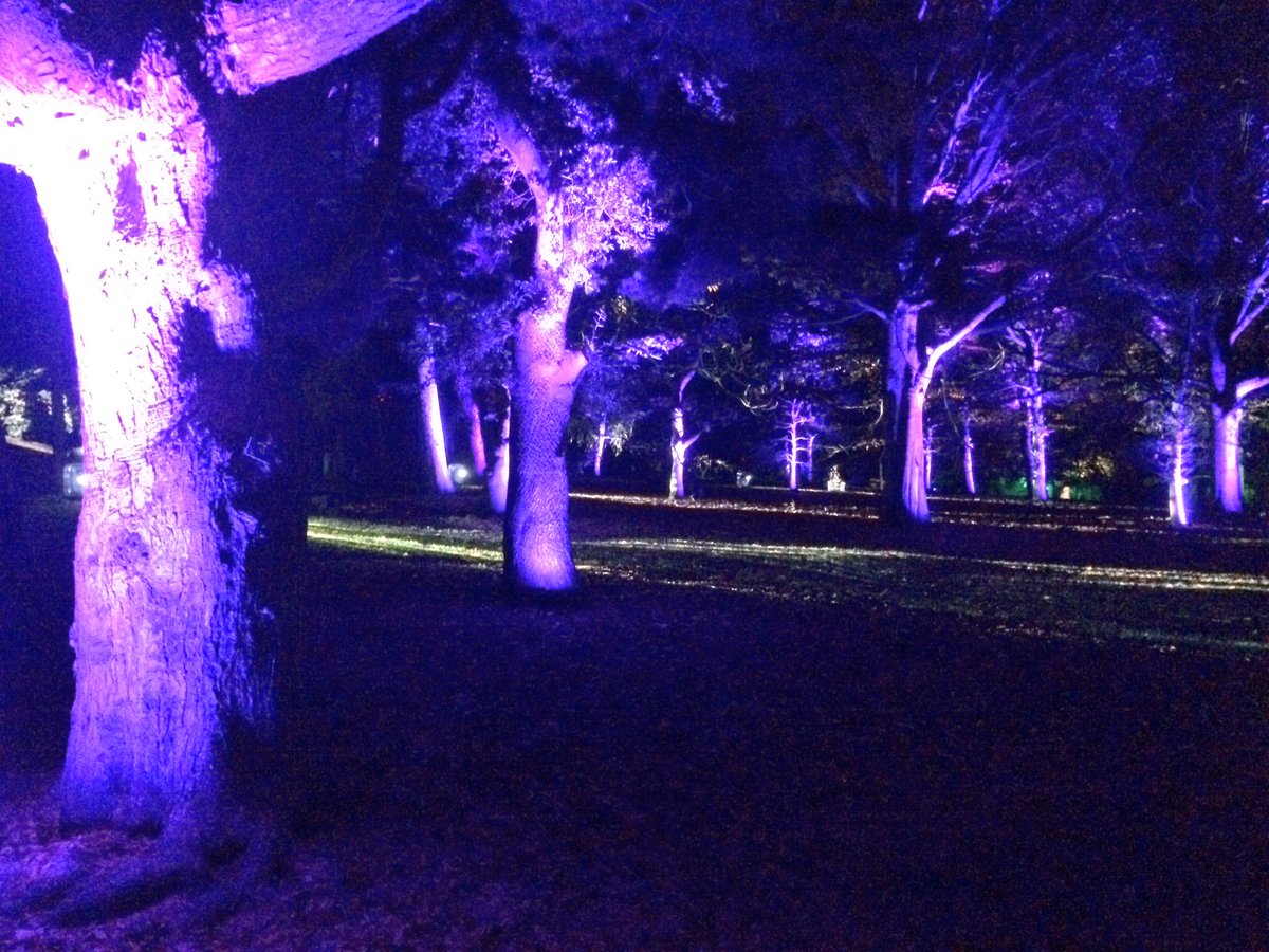 GreigCowan's tweet photo. Light show at the botanical gardens #botaniclights https://t.co/OcqG1VjOef