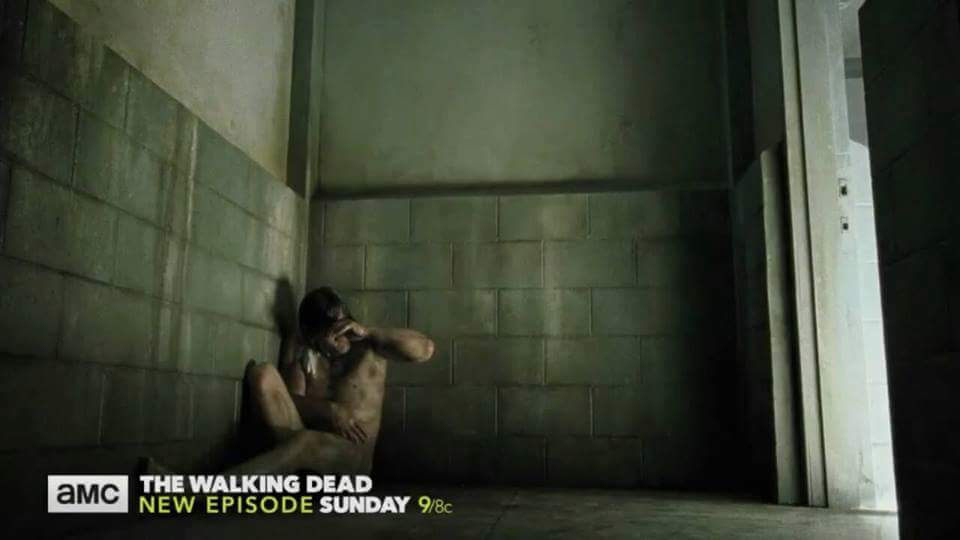 deniselynne1966's tweet photo. @wwwbigbaldhead not sure I can watch Daryl being abused.Daryl & Carol have been abused so much~my heart hurts already #UltimateHumiliationπ’ https://t.co/k801miq40j