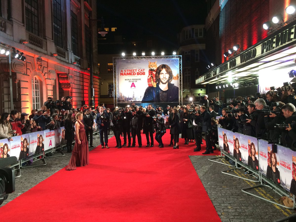 Nibbs Events tweet media