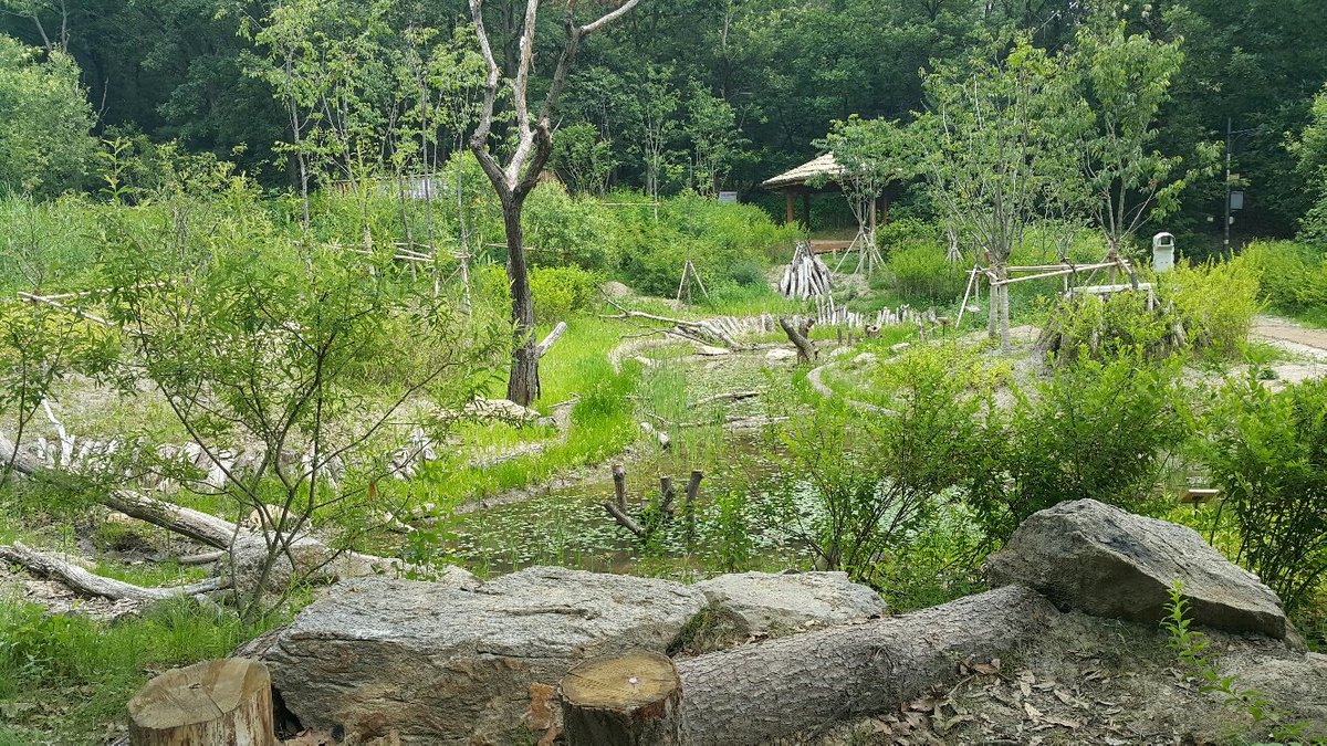 forestwom's tweet image. 판교도서관 뒤 판교공원에서 환경부 공모 선정되어 전액국비로 추진한 #성남시 판교 묵논습지 복원사업이 제16회 자연환경대상 공모전에서 환경부장관상(최우수상)을 수상하였네요. 생태적.친환경적 복원의 우수성을 인정받은만큼 앞으로 유지관리에 더 신경쓰겠습니다