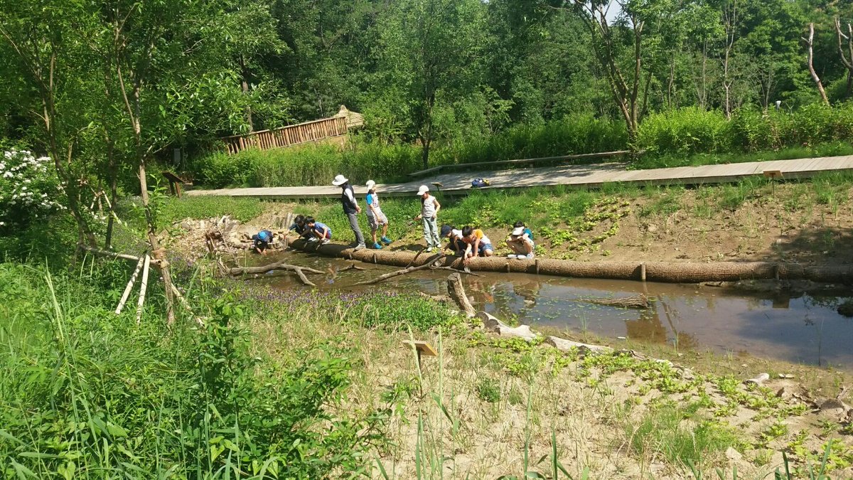 forestwom's tweet image. 판교도서관 뒤 판교공원에서 환경부 공모 선정되어 전액국비로 추진한 #성남시 판교 묵논습지 복원사업이 제16회 자연환경대상 공모전에서 환경부장관상(최우수상)을 수상하였네요. 생태적.친환경적 복원의 우수성을 인정받은만큼 앞으로 유지관리에 더 신경쓰겠습니다