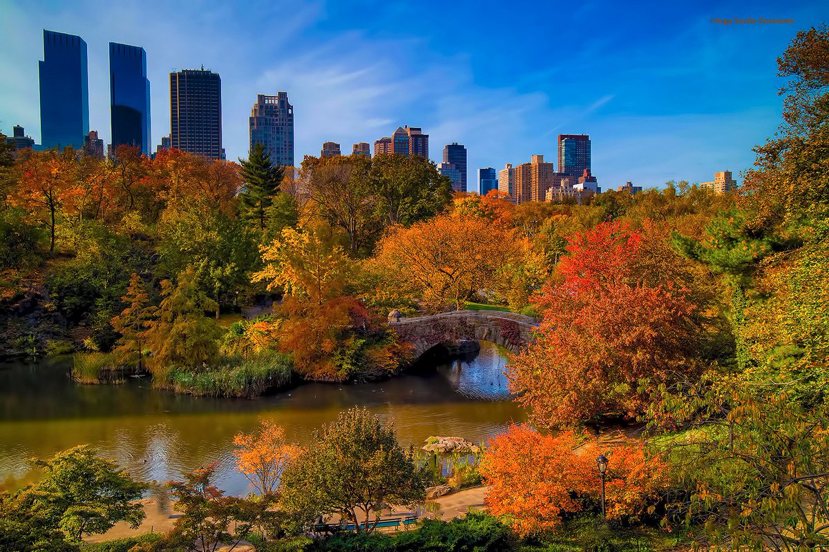 Central Park Nyc Fall Colors - minimalistisches Interieur