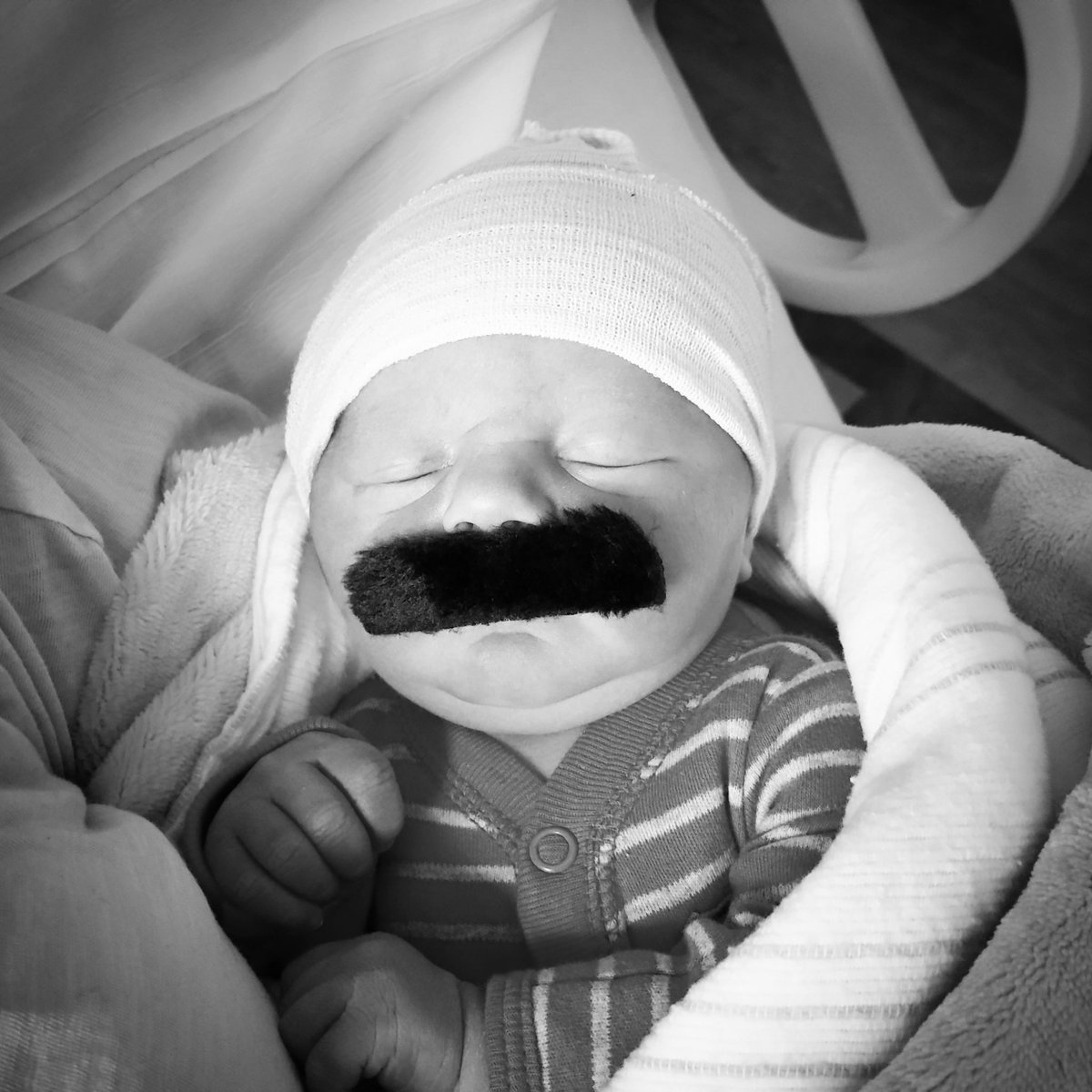 Dave_SHOWTIME's tweet photo. I still think Mustache Meyer is the perfect name for him, but we decided to go with Clayton Meyer. #NoShaveNovember #ImustacheYouAquestion https://t.co/T0mYxL05xw