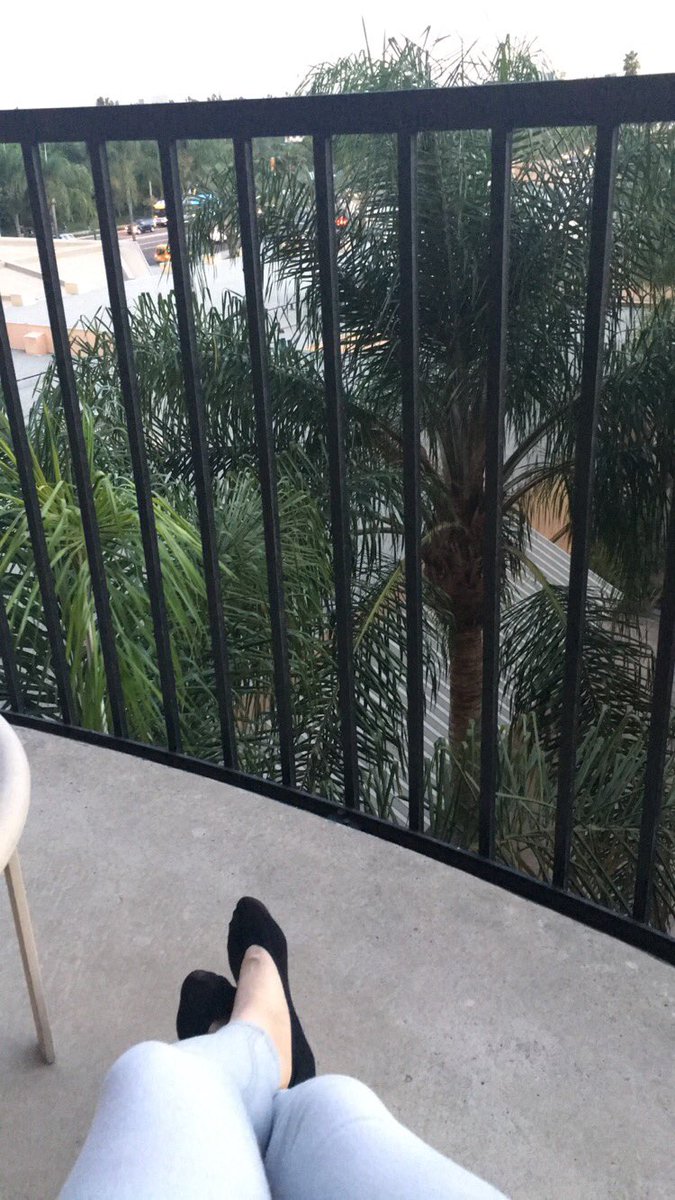flosc2's tweet photo. Sheraton chillin. https://t.co/0ubn6iJB1w