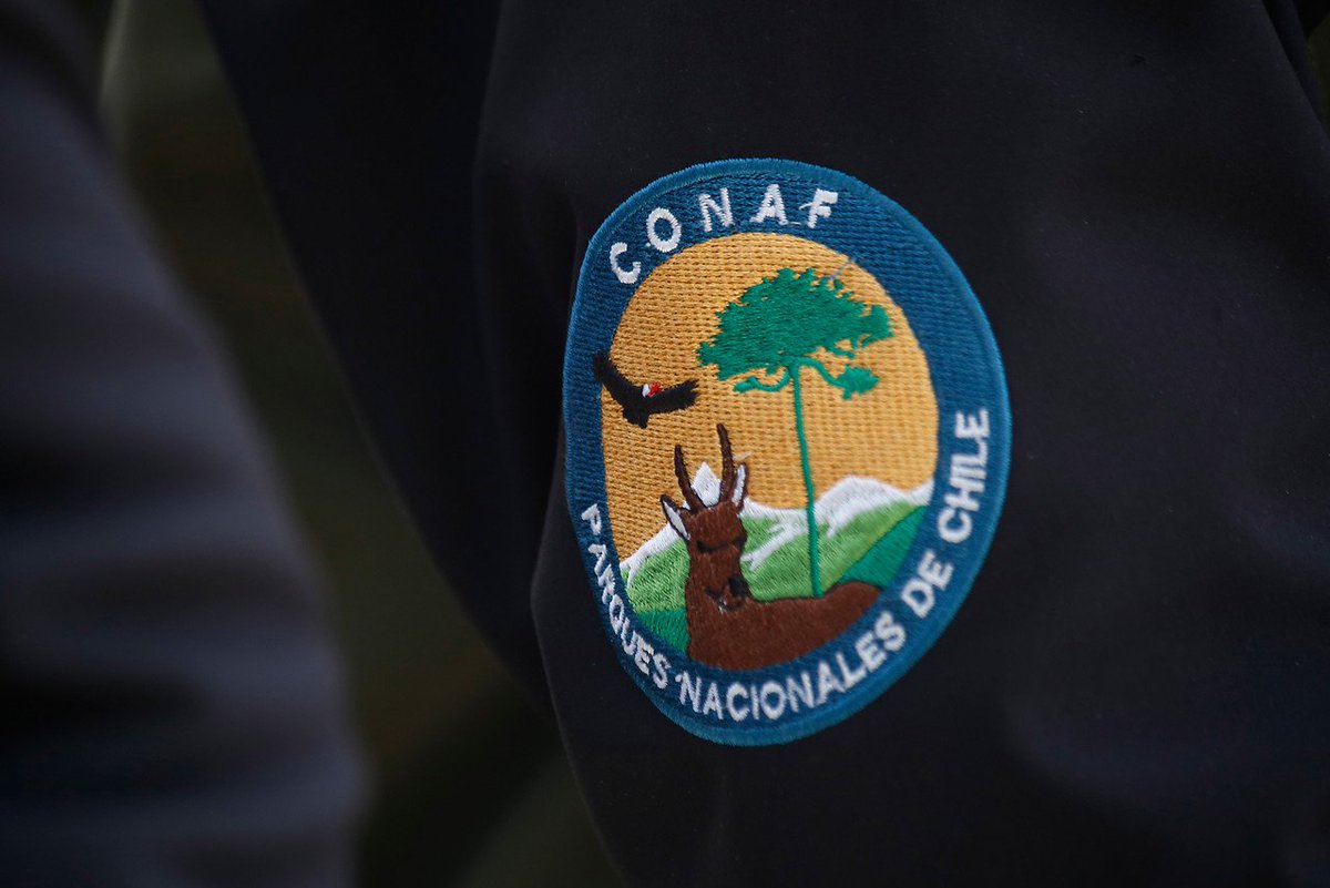 Conaf multará a quienes escalen cerros sin equipamiento y causen operativos de rescate adn.fm/2fhEDYq