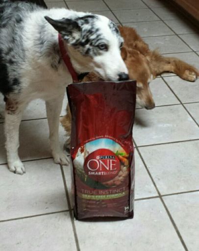 Wildhorse369's tweet image. got $13.99 off See the difference. #ONEdifference #FreeSample landing.smiley360.com/landingpage147…