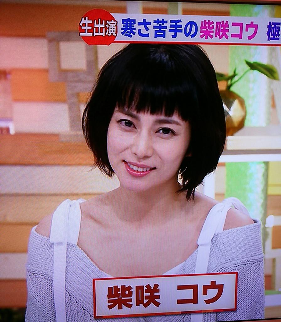 最高の動物画像 最新柴咲コウ 可愛い