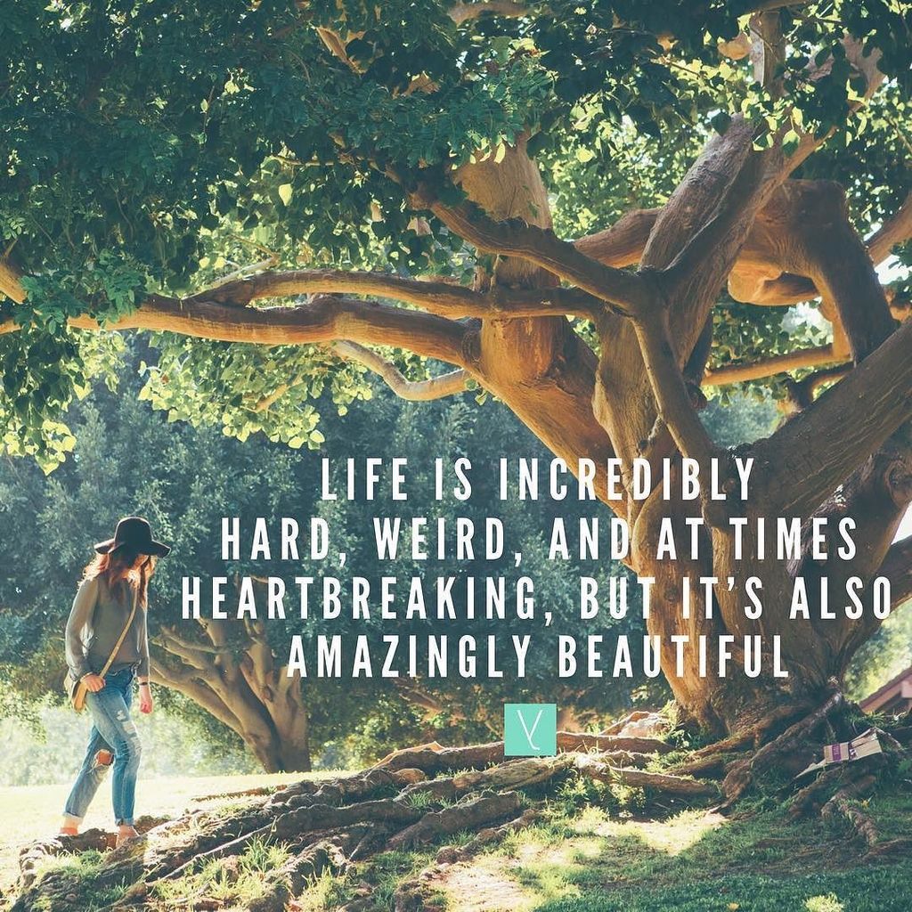 everything i did tweet media