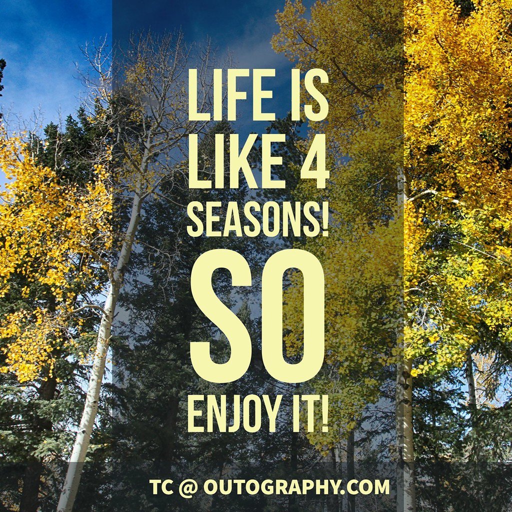 TerenceChang's tweet image. Just discovered #Adobe #Spark web tool. It's amazing and easy to create inspirational grap… adobe.ly/2etnhJb