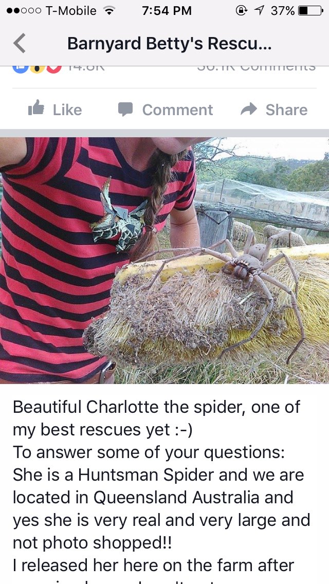 abbieputnut's tweet photo. Um I'm going to the exact place this thing was found really soon plz pray for me 😩 https://t.co/P3NoC9zlGG