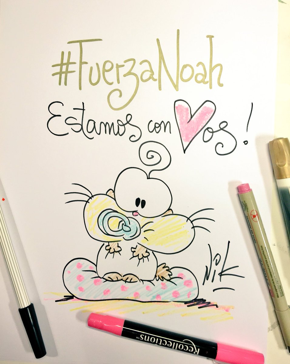 Nikgaturro's tweet image. #FuerzaNoah Fuerza Campeón❤️💛💚💙
