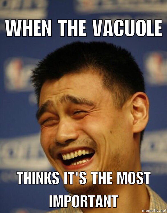 CytoSkeleton_17's tweet photo. @vacsgotyourbac https://t.co/yholxKnGkb