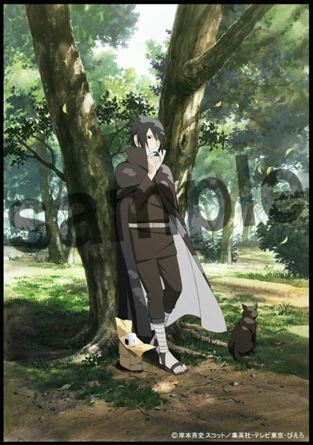 SasuSaku_OFP's tweet photo. Spoiler de #SasukeShinden https://t.co/03CUEzf1tU