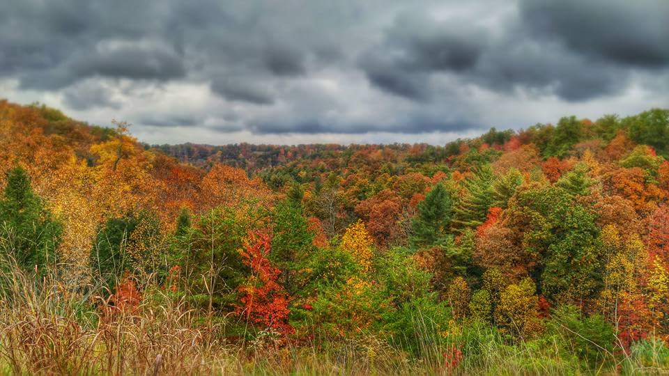 kentuckygirl_UK's tweet photo. @micahharriswx @Kentuckyweather @BluegrassScenes #TBT to one of my #FallFavorites ๐~Lee County 2015
#FallinKy
#DressedToImpress https://t.co/nkdVE8KILc