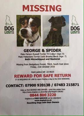 <a href="/millypod1/">chris towers</a> @clairef82948858 <a href="/DoglostUK/">DogLost</a> <a href="/HunnyJax/">#whereAREyouPebbles</a> <a href="/LostboxUK/">Lostbox-Lost & Found</a> <a href="/OneStopAllDogs/">ONE STOP - ALL DOGS</a> <a href="/Harveysarmy1/">Harvey's Army</a> <a href="/HelpFindThem14/">HelpFindThem</a> <a href="/sampauk_/">Stolen&Missing Pets</a>