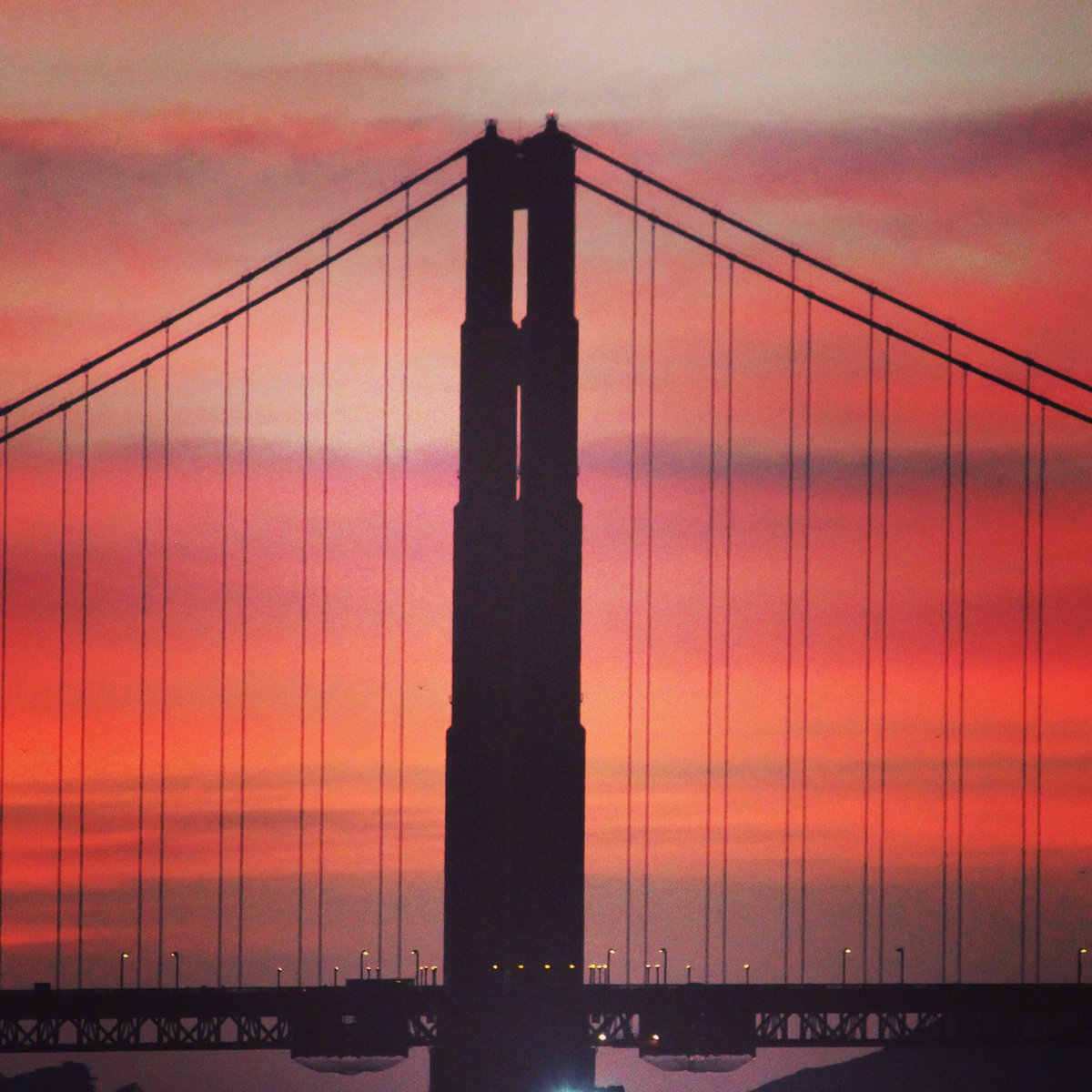 NextGenWine's tweet photo. Fantastic night + #sunset in #sanfrancisco @FortMasoninSF for our #singlevineyardnight! #russianrivervalley #wine #winetasting https://t.co/dxHuzmRHoV