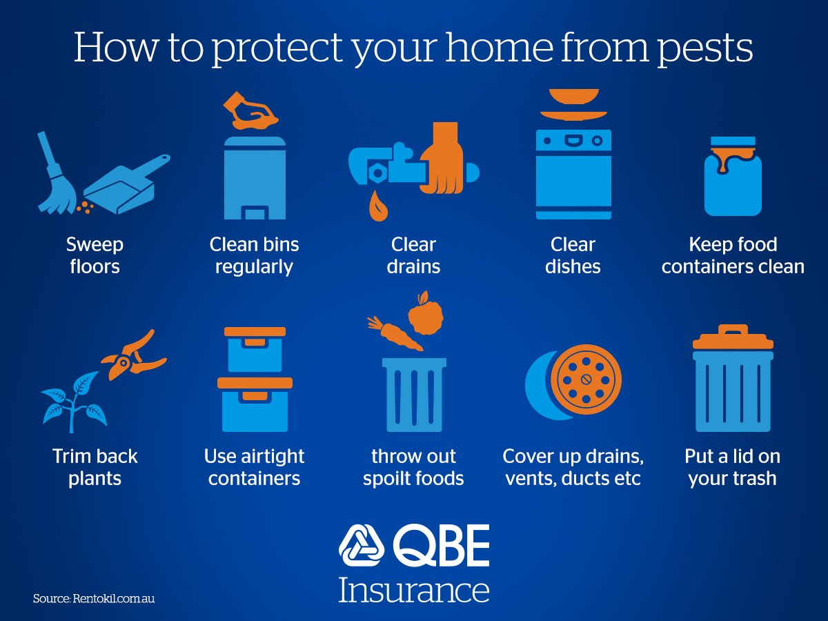Vermin and pests can cause damage and disease, make your home less welcoming with these easy but effective measures.