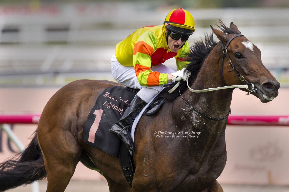 The Love Horse, LANKAN RUPEE, runs tomorrow in the G1 Darley Classic.  I'd love to see him win it. #springcarnival