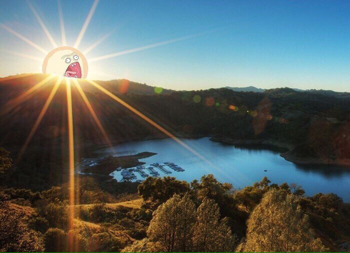 soon_dawn's tweet photo. Доброе утро, котятки ☀️ https://t.co/UeHfPivvf6