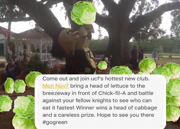 Ucf Lettuce Club (@UCFLettuceClub) / Twitter