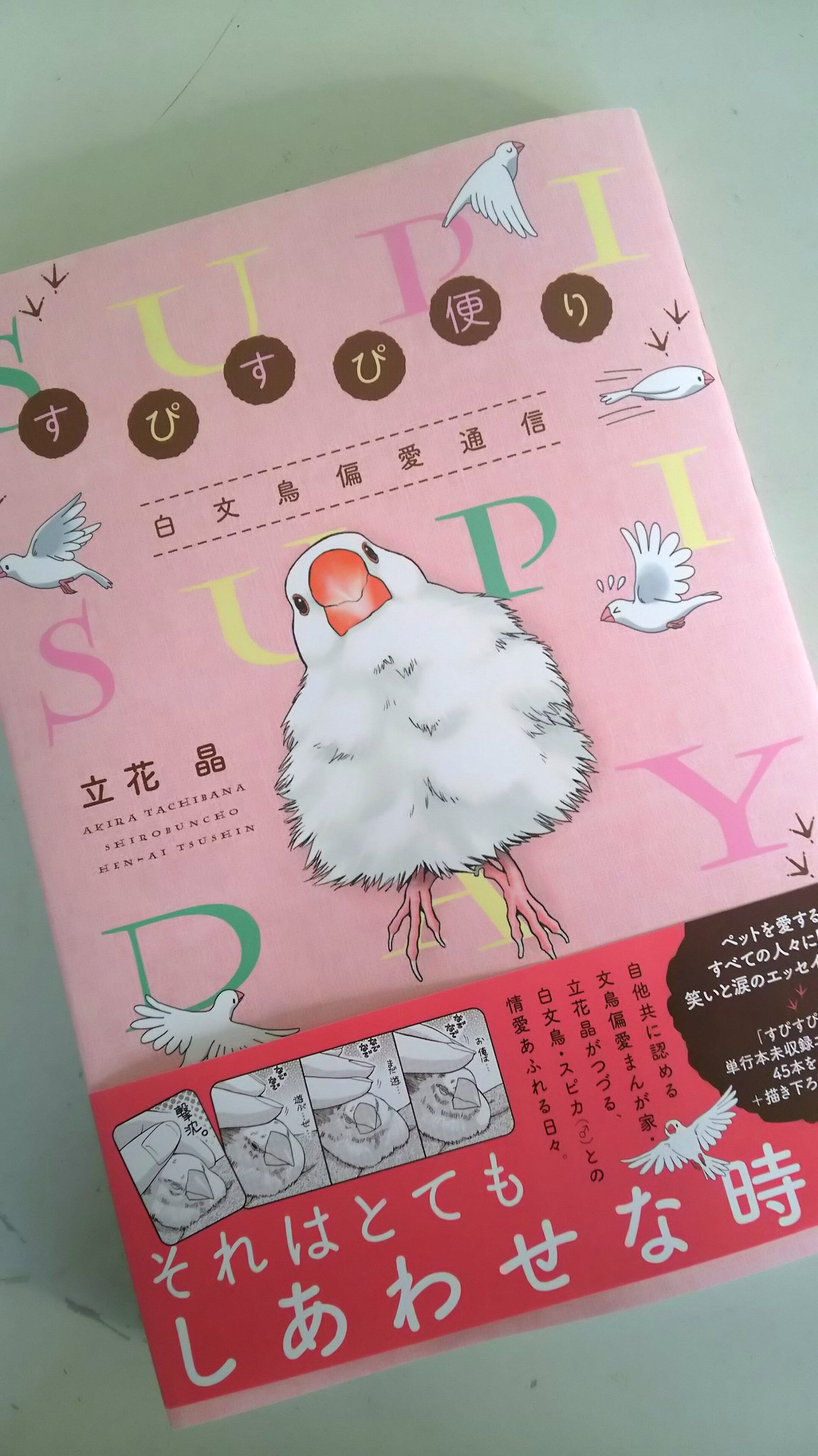 Aki Spica いよいよ本日 すぴすぴ便り 白文鳥偏愛通信 のコミックスが白泉社より発売されます すぴじいちゃんの思い出をお手元に どうぞよろしくお願いいたしますm M Buncho T Co Uf74rfcbsq Twitter