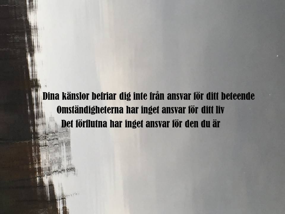 Dina känslor befriar dig inte från ansvar för ditt beteende
Omständigheterna har inget ansvar för ditt liv...