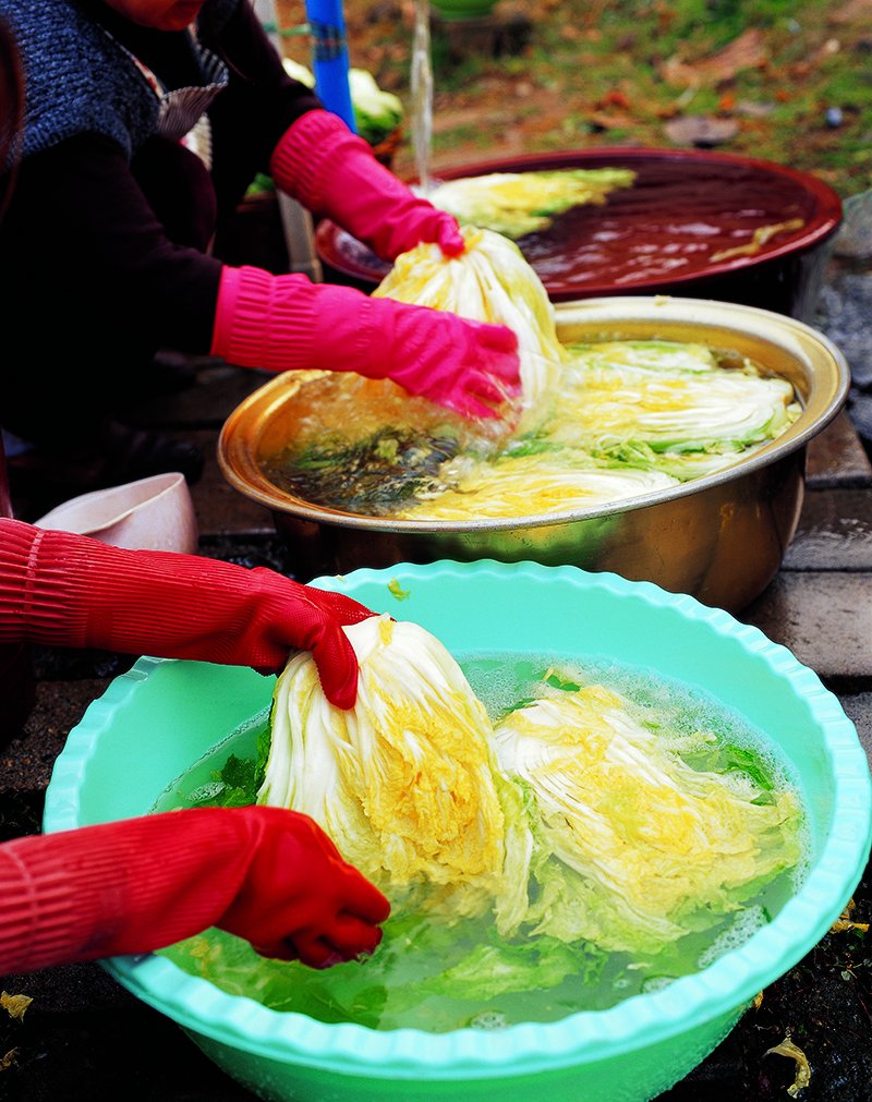 [김장철 채소쓰레기 특별무료수거]
*기간:11.7~12.12
*시간:20:00~다음날06:00
*절임용 채소류 양념 등=>음식물쓰레기 전용봉투에 배출
*채소류 다듬은 시래기류=>투명비닐 봉투에 배출
*육류의 뼈,어패류껍질 등=>일반종량제 봉투에 배출