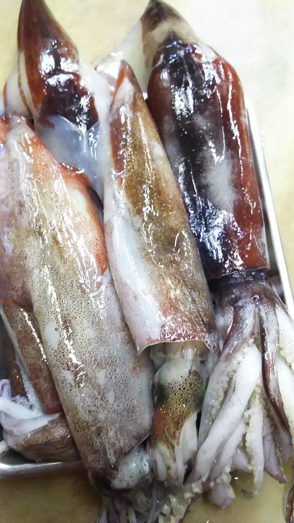 やきとん和田屋高円寺店 青森からイカ三昧 ヤリイカ そして立派なスルメイカ 刺身はそれぞれ430円 ヤリイカのゲソは生で食べると絶品です 本日限りゲソ刺380円 甘味を味わうには最高の イカのタタキ昆布〆350円 本日も旬の活締めアイナメも やきとん和田屋高円寺店 青森からイカ三昧 ヤリイカ そして立派なスルメイカ 刺身はそれぞれ430円 ヤリイカのゲソは生で食べると絶品です 本日限りゲソ刺380円 甘味を味わうには最高の イカのタタキ昆布〆350円 本日も旬の活締めアイナメも