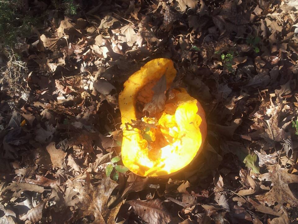 fivecoat's tweet image. Throwing my orange pumpkin off the deck today never felt as therapeutic. #Smashingorange