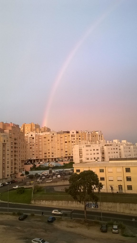 Themagictals's tweet photo. Rainbow !!!! Beautifull thing in the guetto 😆 https://t.co/3olWPdfgc2