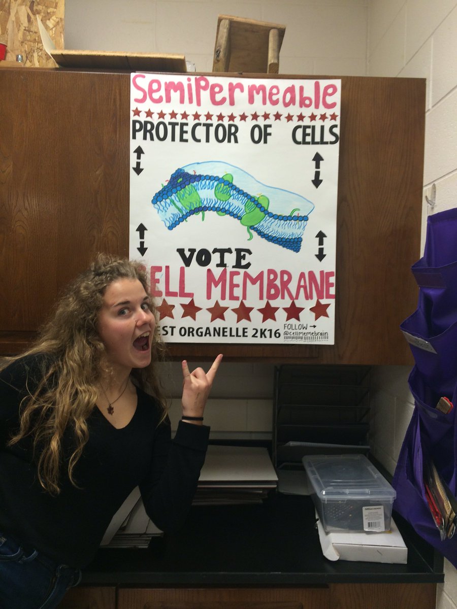 FishsisCox's tweet photo. Check out our totes awesome Cell Membrane poster. And follow @cellmemebrain https://t.co/5Z8J27ed2h