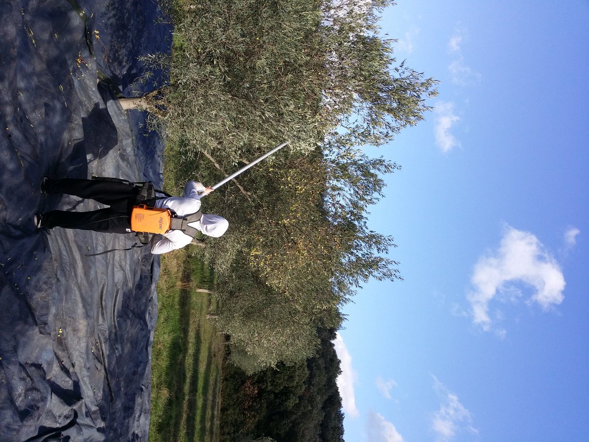 Gilles RIDEL (@gridel) | Twitter