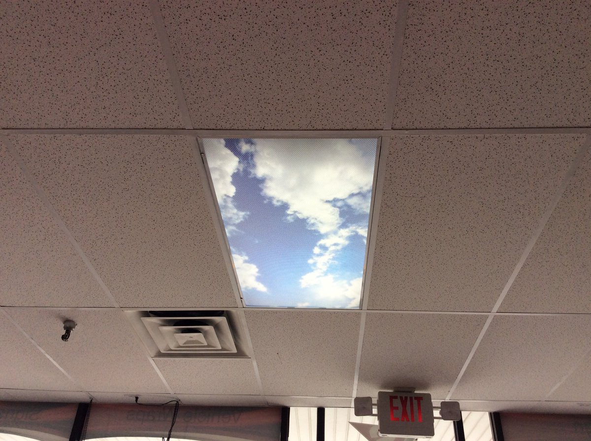 Turn your florescent lights into skylights.  Perfect for adding ambience to a room or office.  Custom designs.  Call today. 734-221-5141.