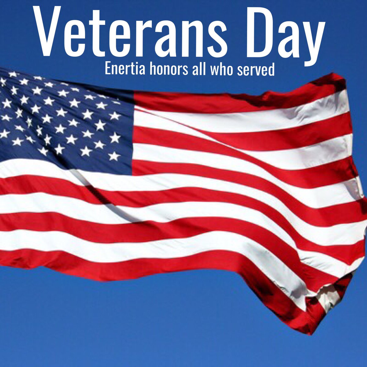 EnertiaSoftware's tweet photo. A happy #VeteransDay to all our vets! #Enertia honors and salutes you! https://t.co/gwM7oRLjhn